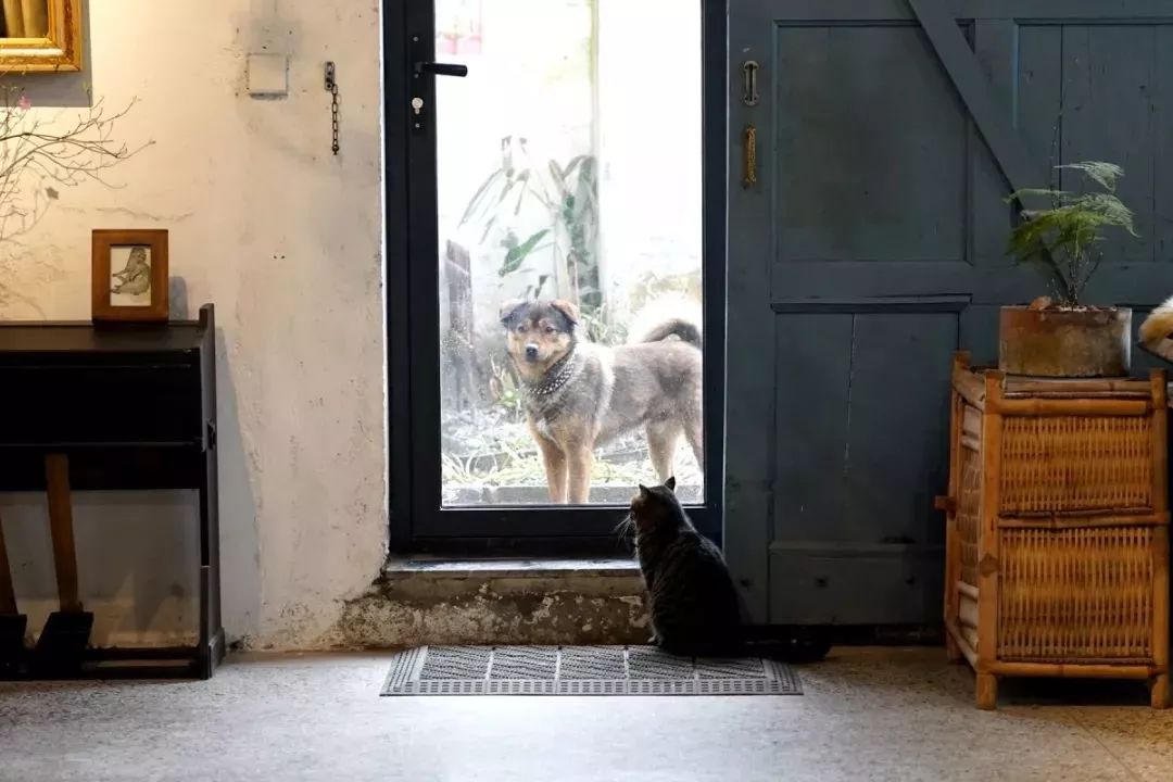 无锡十大精品店,无锡一家有逼格的店