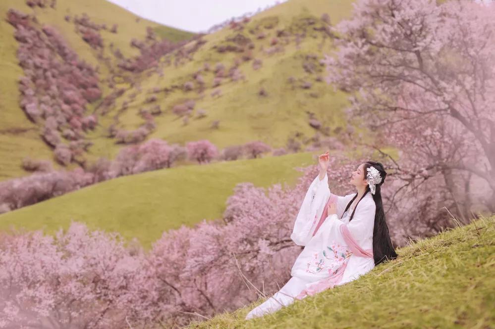 题都城南庄留给了我什么印象,题都城南庄深度解读