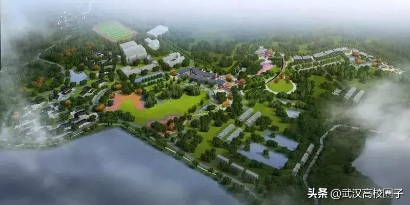 武汉东湖游玩攻略骑行路线,来武汉东湖绿道打卡玩法全攻略