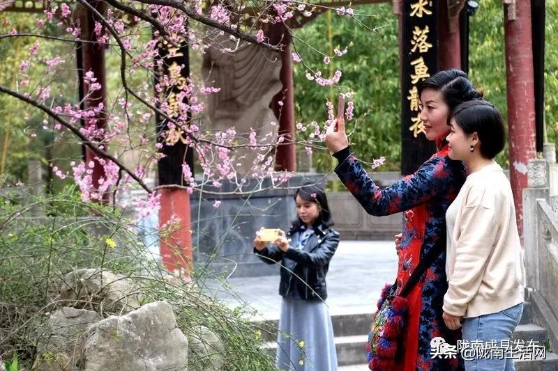 我叫成县，这是我2019年的自拍照