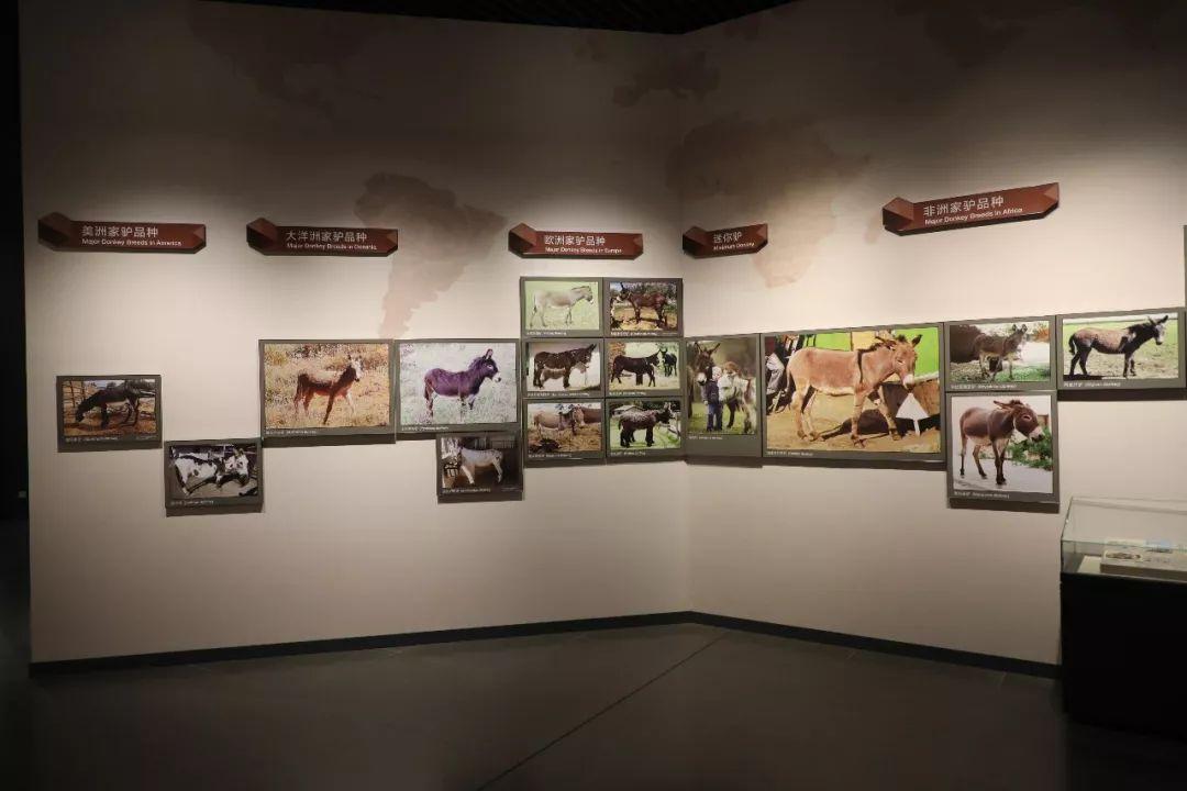 从清洁工逆袭成产品总监,从打工仔成功逆袭成老板