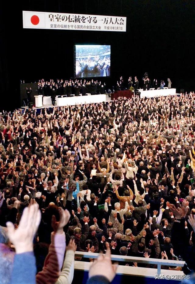 菊花王朝盛衰记,菊花王朝故事