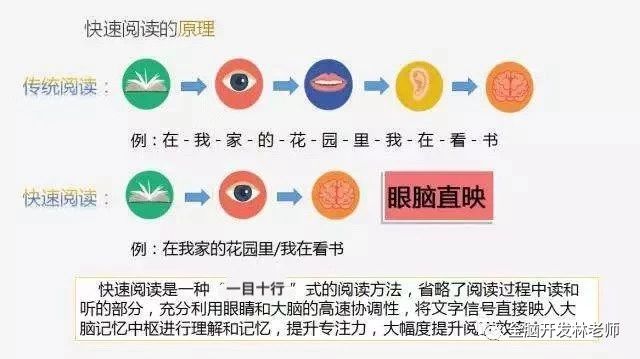 博赞教育快速记忆法过目不忘单词,记忆法过目不忘训练