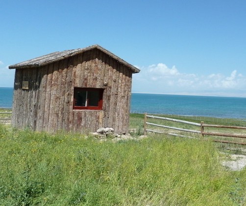 面朝大海春暖花开是什么感觉,面朝大海春暖花开是极致的悲哀