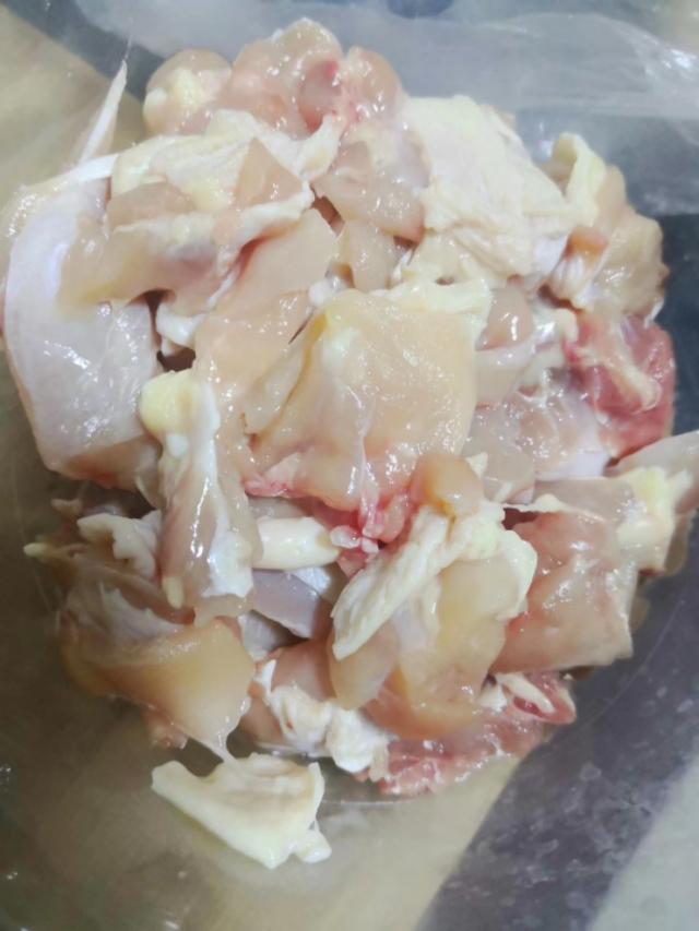 新手养狗指南养狗必备的13件用品,新手铲屎官养狗推荐