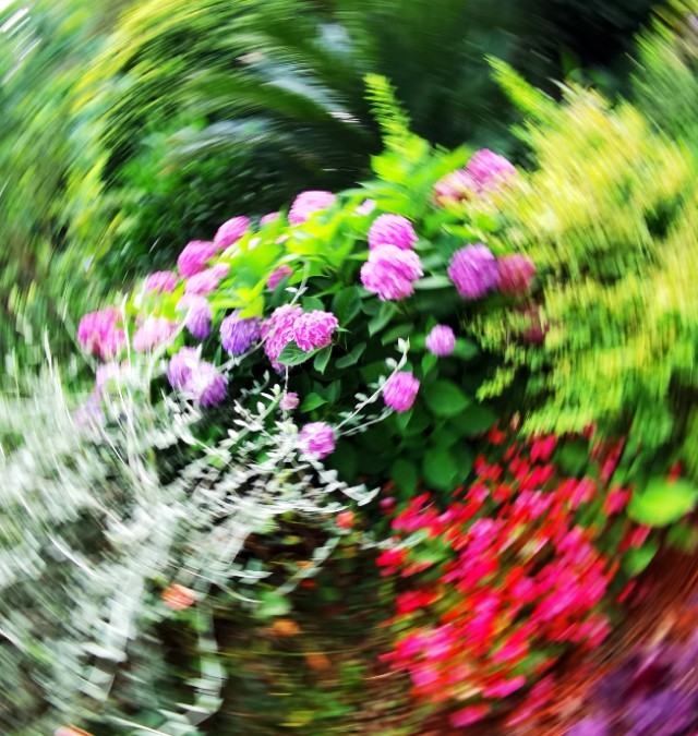 旋转拍摄法,旋转相机拍摄