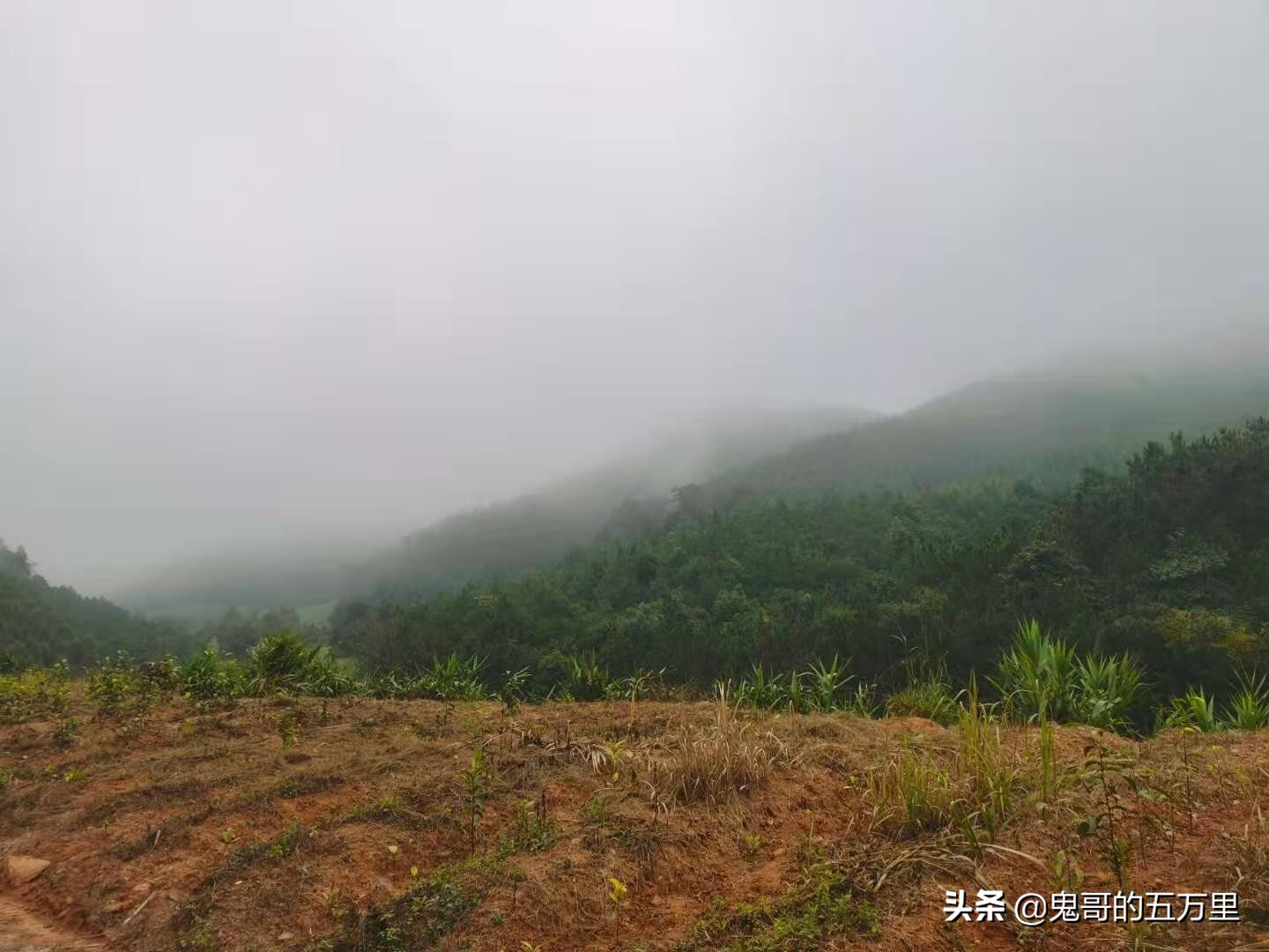鬼哥的五万里D100骑记:100天了(永平镇-临沧市临翔区)