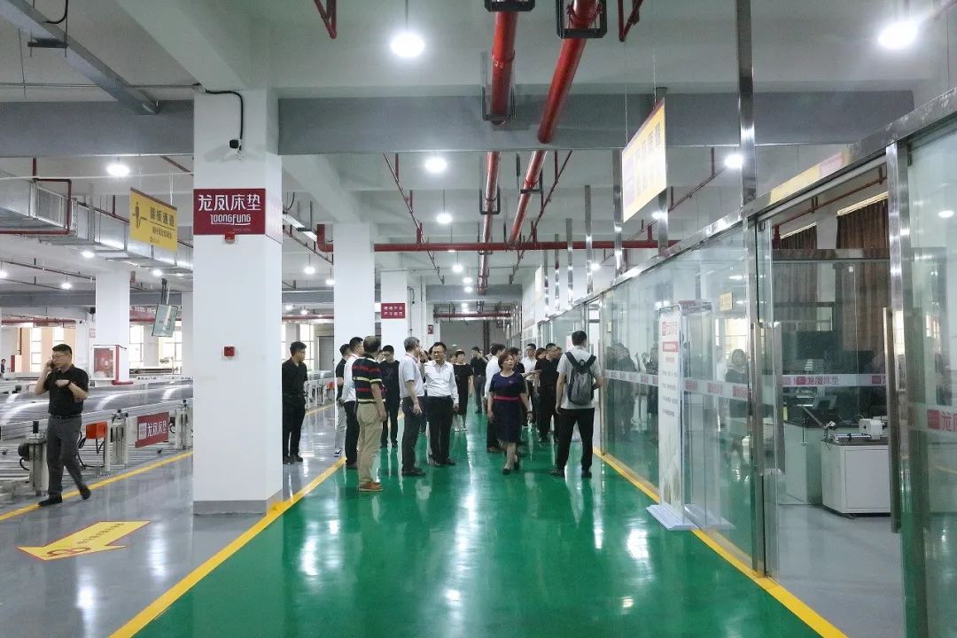 传经典致未来“龙凤家居66周年庆典”活动盛大举行