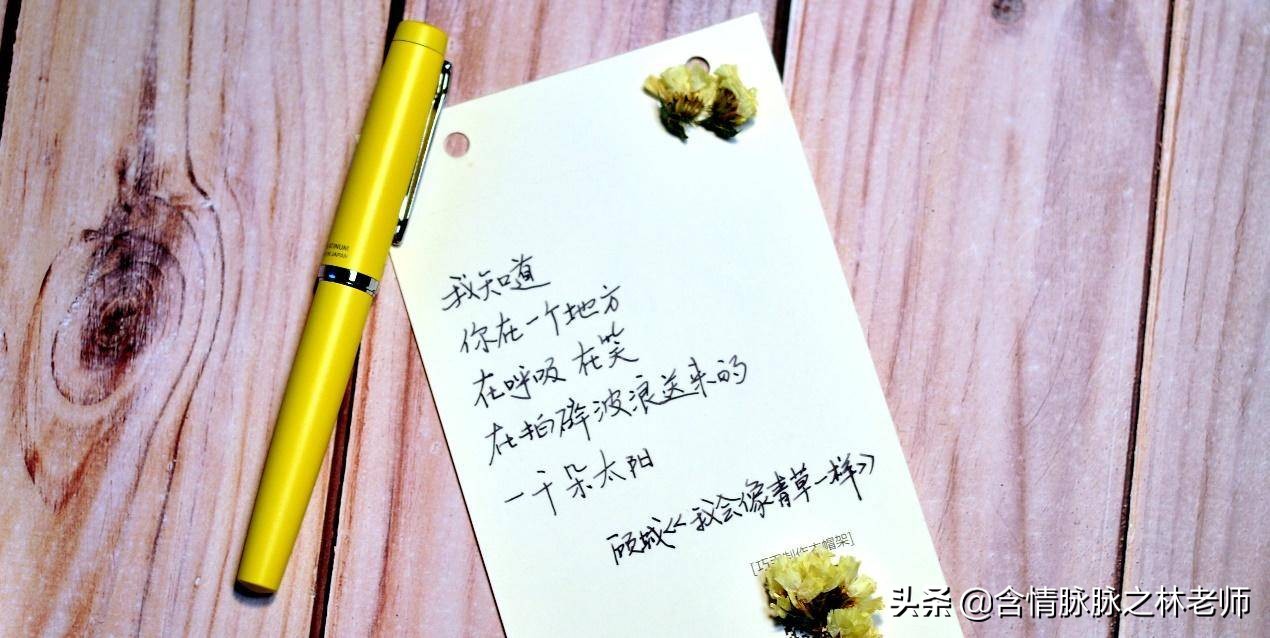 毛笔怎么挑选笔杆,开学怎么选钢笔