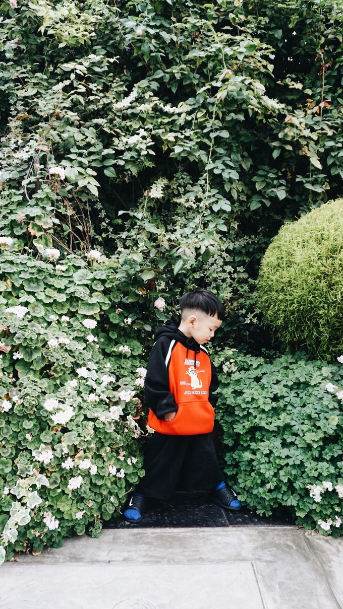 狮城新加坡自由行,新加坡7日游攻略