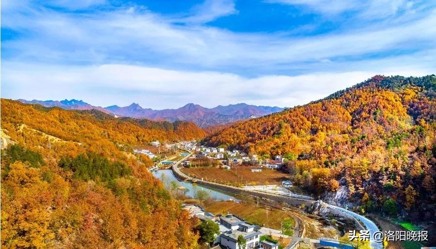 栾川县乡村振兴项目,栾川乡村振兴