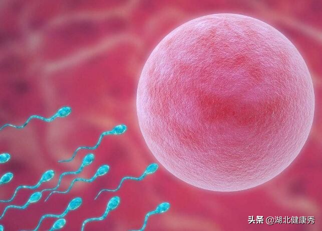 试管婴儿移植两次失败了什么原因,试管婴儿移植多次失败还有希望吗