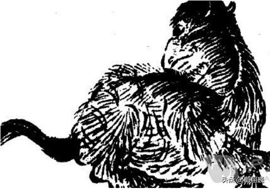 山海经西山经全集,山海经第二部分全文