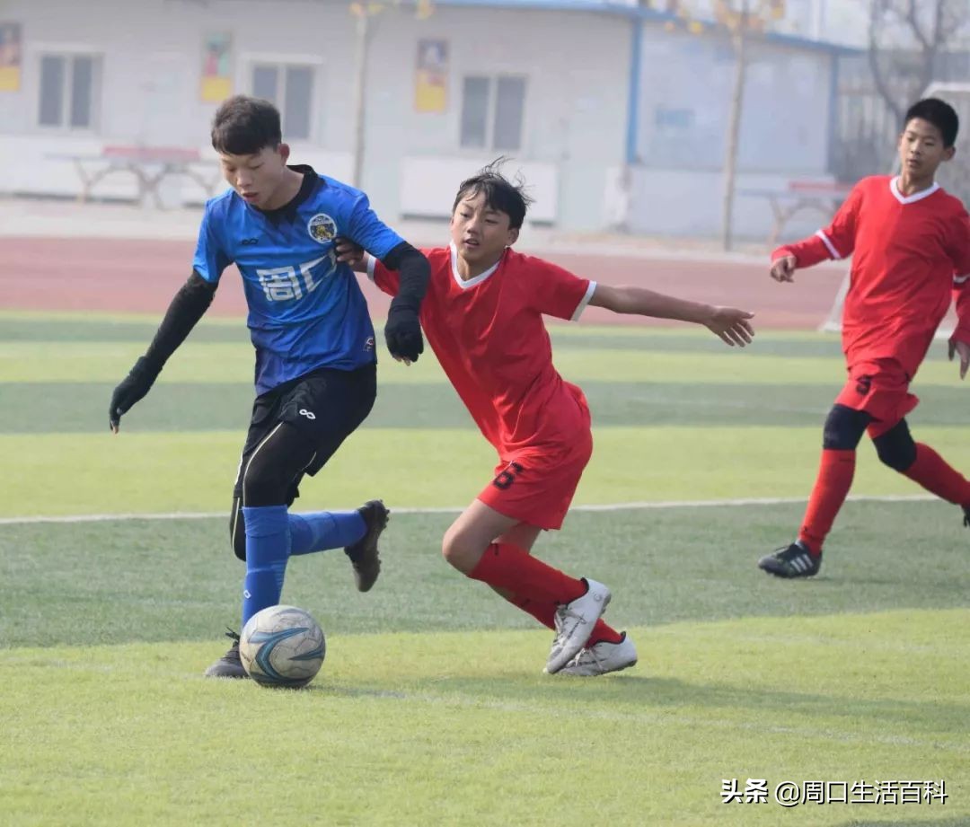 恭贺我校取得市足球联赛第一名,恭喜足球队在足球联赛中喜获佳绩