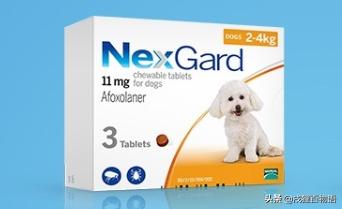 狗狗驱虫喷剂好还是滴剂好,左旋咪唑狗狗驱虫滴剂