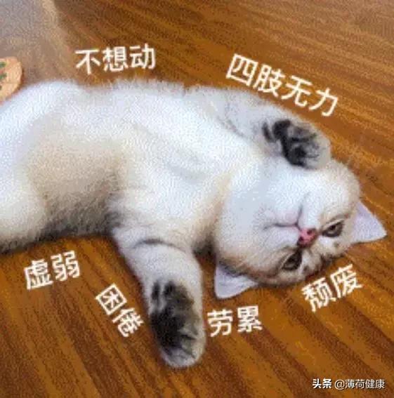 快速入睡黑科技：这8个小技巧，专治睡不着，学会就能10秒睡着