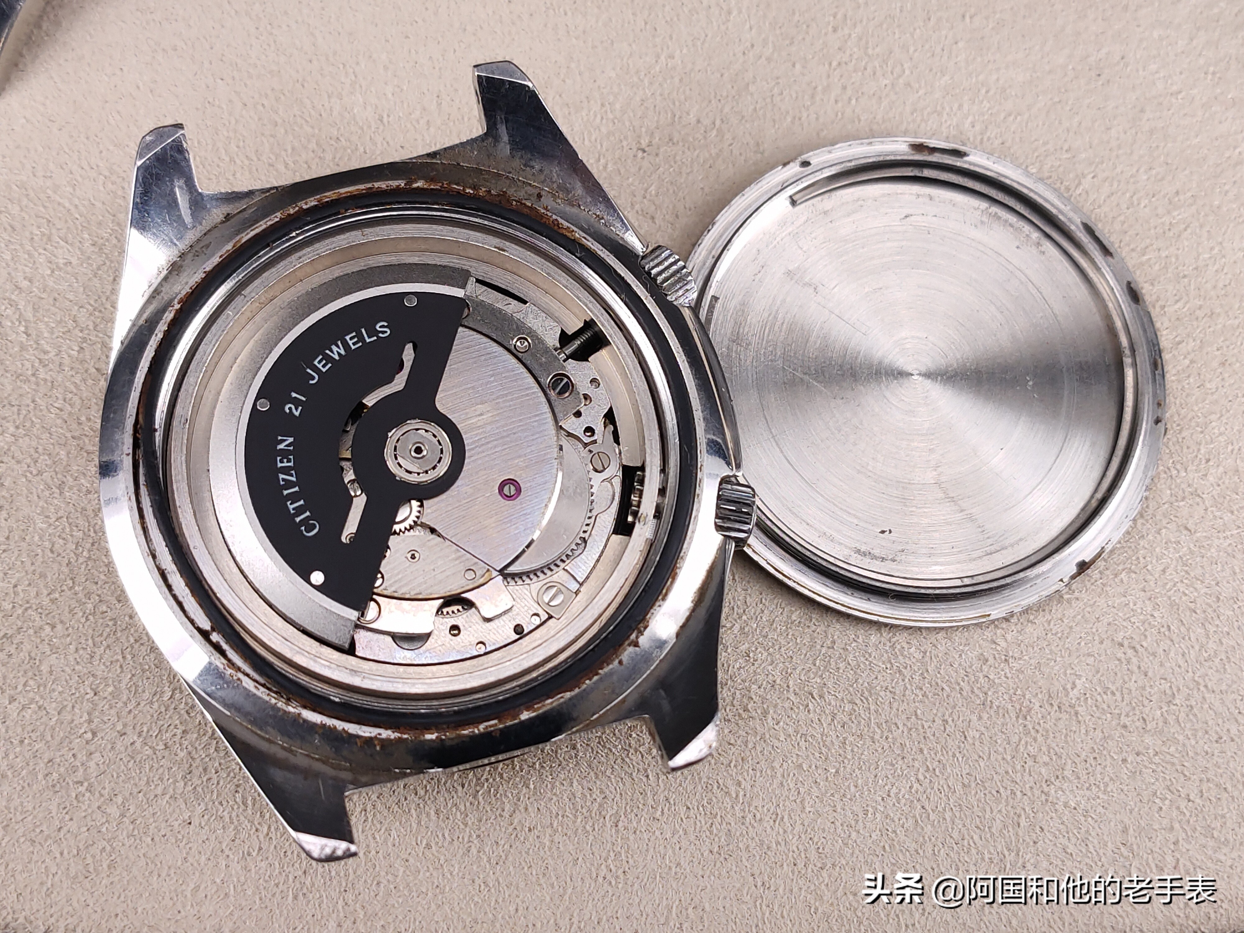 50年后的相见两只西铁城水鬼