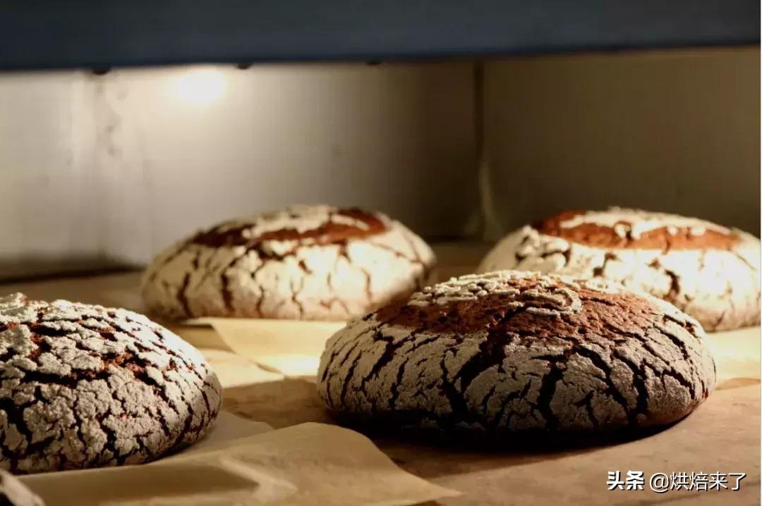 德国黑麦酸面包 (德国黑麦酸面包怎么吃)