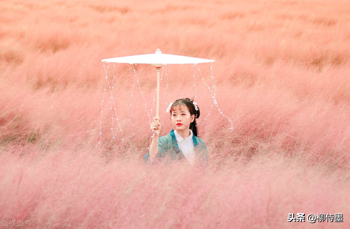 摄影技巧口诀大全图解,摄影外拍技巧与灯位