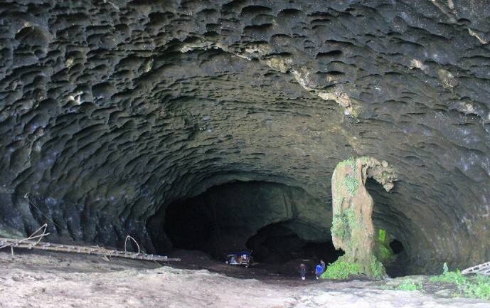 燕窝真的有传说中的那么神奇吗,燕窝的秘密大揭秘