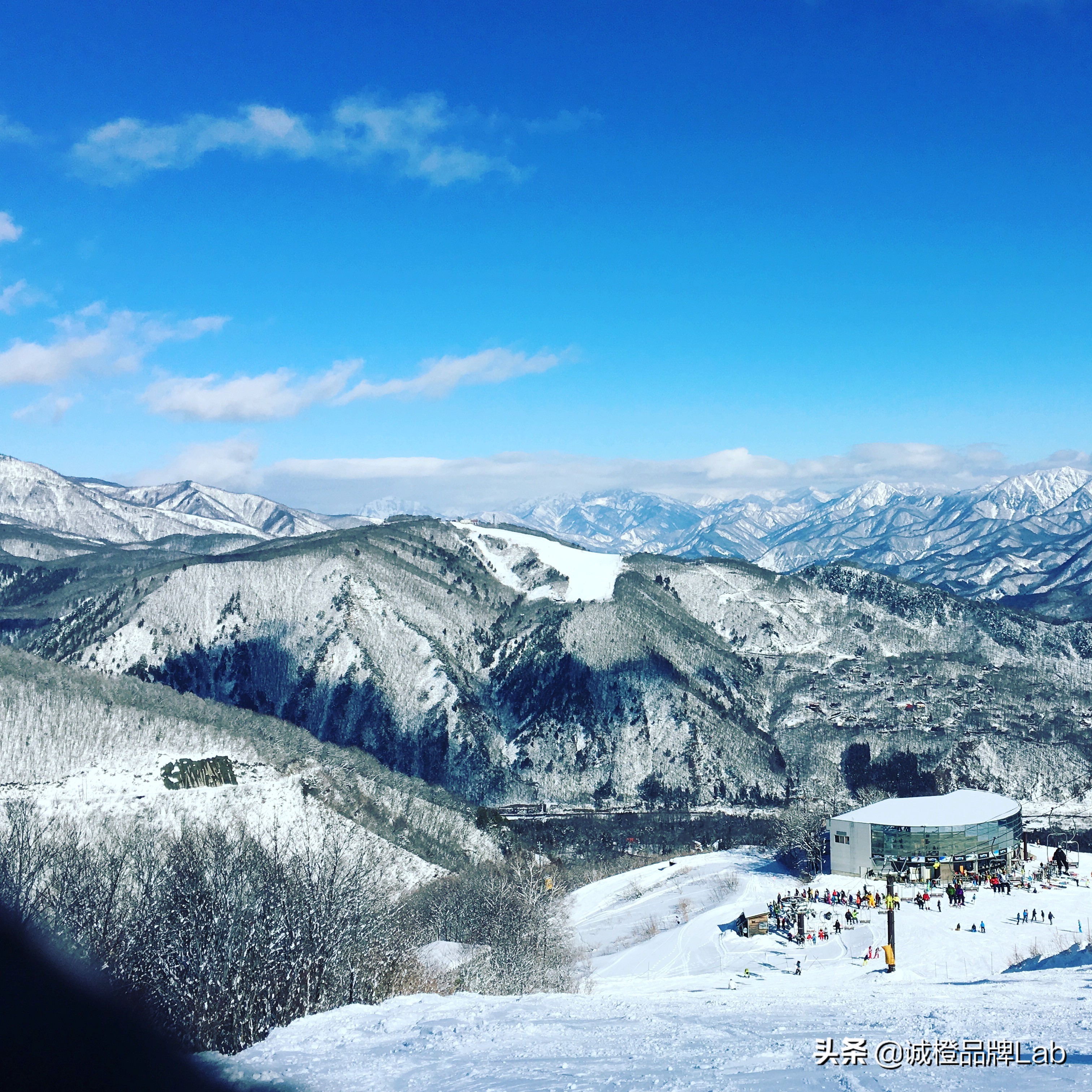 乡村内生活力,乡村发展的活力表现在诸多方面