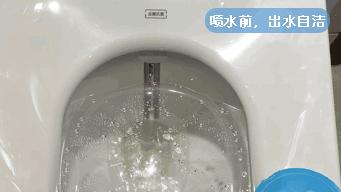 海尔箭牌松下东芝哪个马桶盖好 (海尔和箭牌哪个智能马桶比较好)