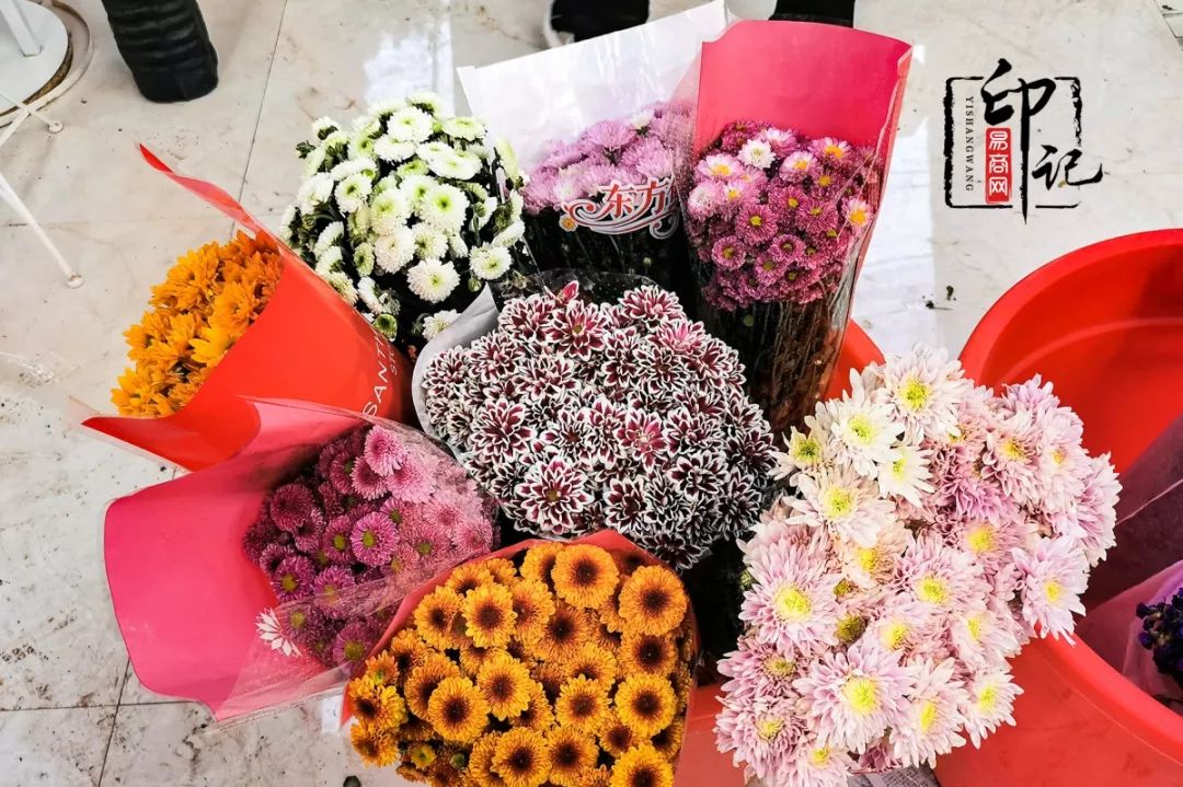 商丘花鸟批发基地,商丘花鸟市场地址