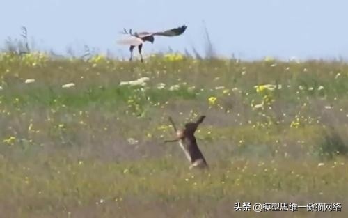 100个思维模型目标管理,100种思维模型具体是哪些