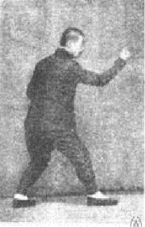 形意钻拳教学视频,形意钻拳用法