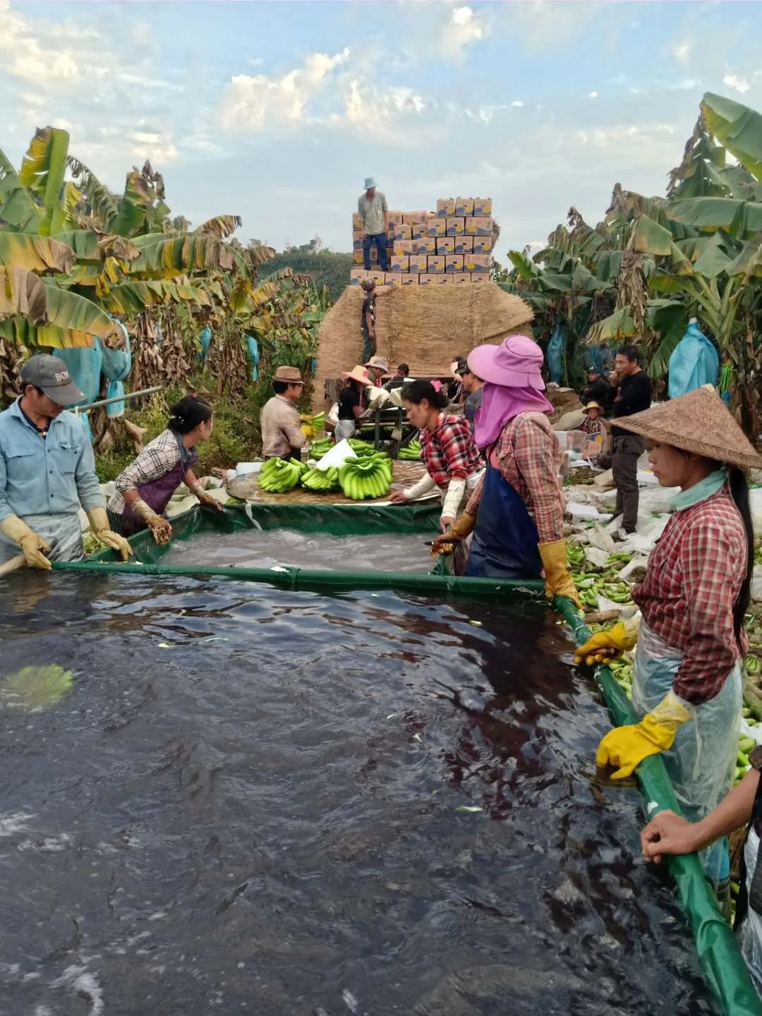 涓紖杈瑰棣欒晧,涓紖杈瑰钑夊啘