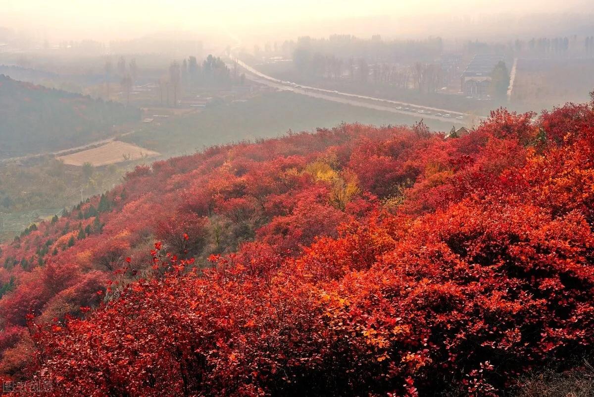 中职沁园春长沙第一课时教案,沁园春长沙第一课时