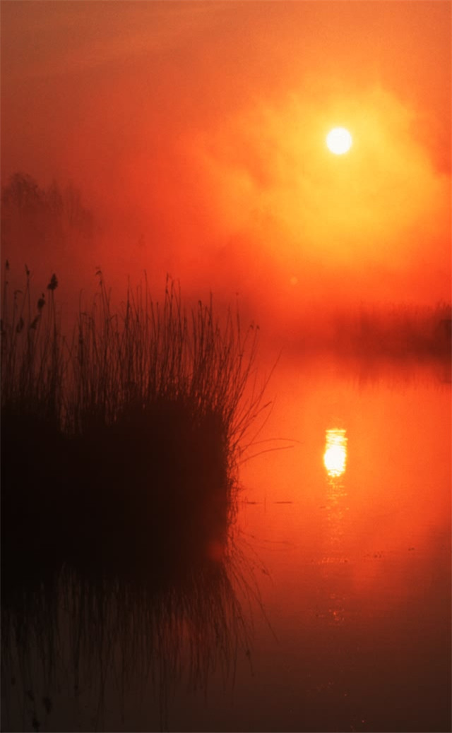 缓解眼睛疲劳壁纸颜色,缓解眼睛疲劳的壁纸高清