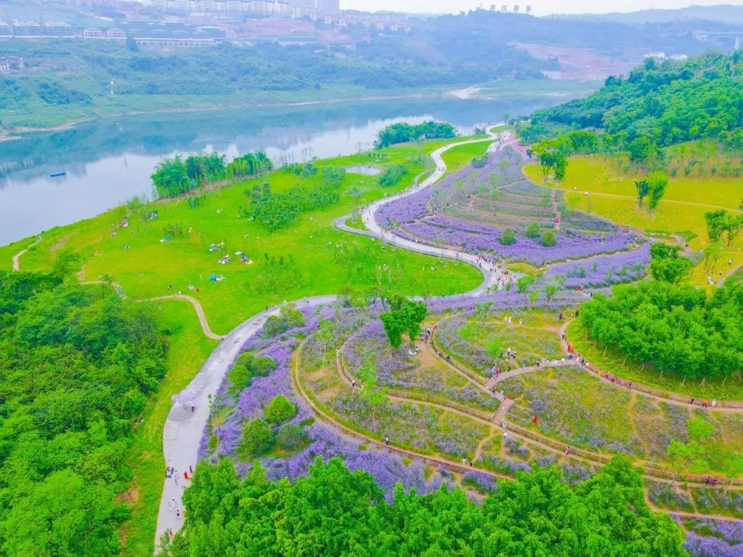 两江智慧之旅,重庆夜游两江经典时间