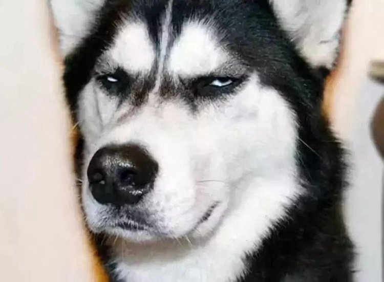 给孙子起一个霸气的名字,爷爷给孙子取名后续