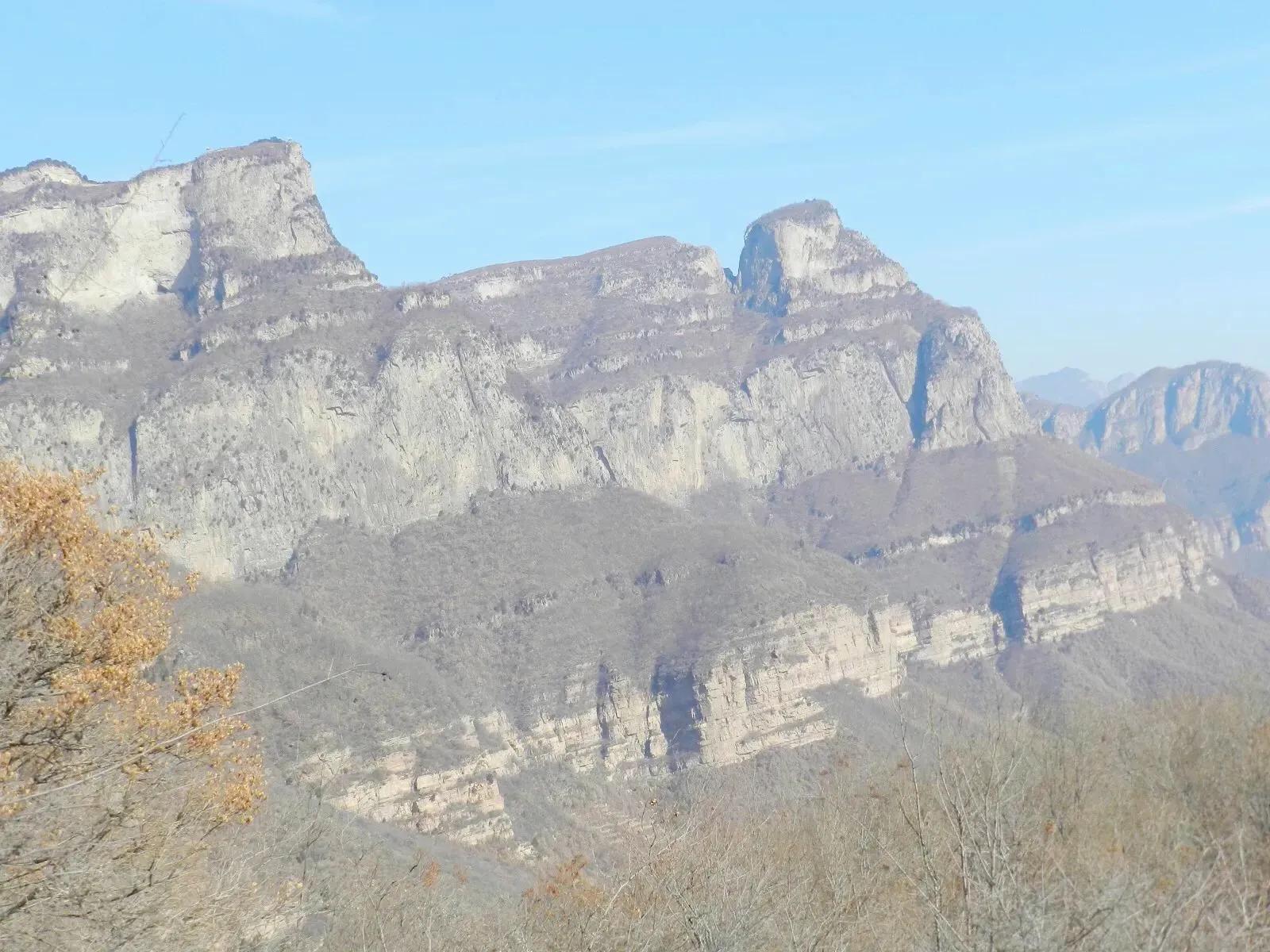 在山里迷路遇到狐狸,在山里迷路遇到了好漂亮的小姑娘
