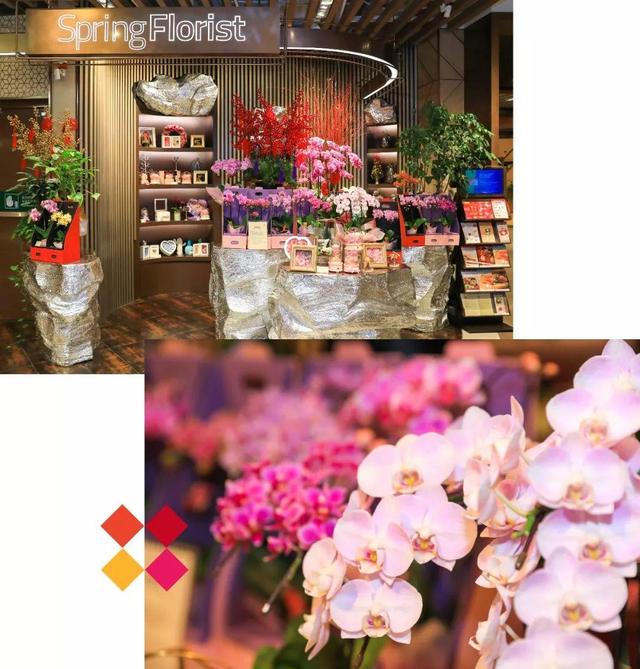 嗲!踏入“宝藏超市”,1秒解锁魔都最in年货指南!