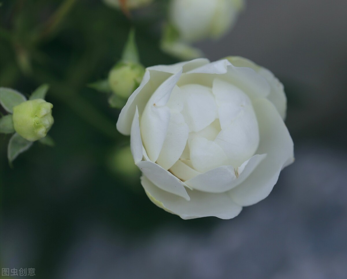 愿时光不老愿我们常在青春易逝,愿时光不老我们不散留住美好时光