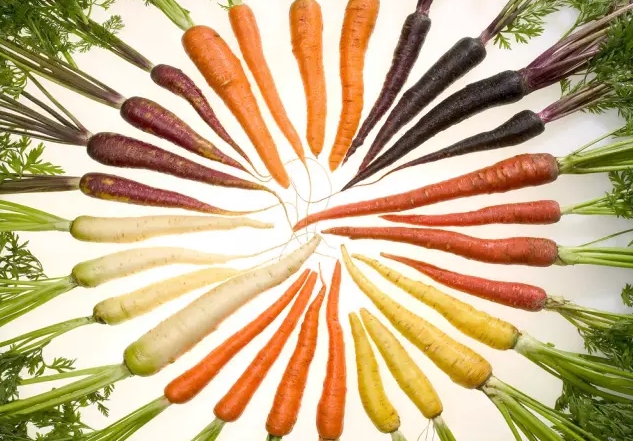 甜甜圈、巧克力、胡萝卜……没有荷兰人，我们或许就吃不到了