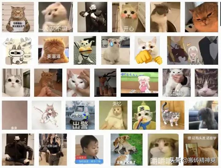 最近有什么不错的网站推荐,有什么超好用的网站