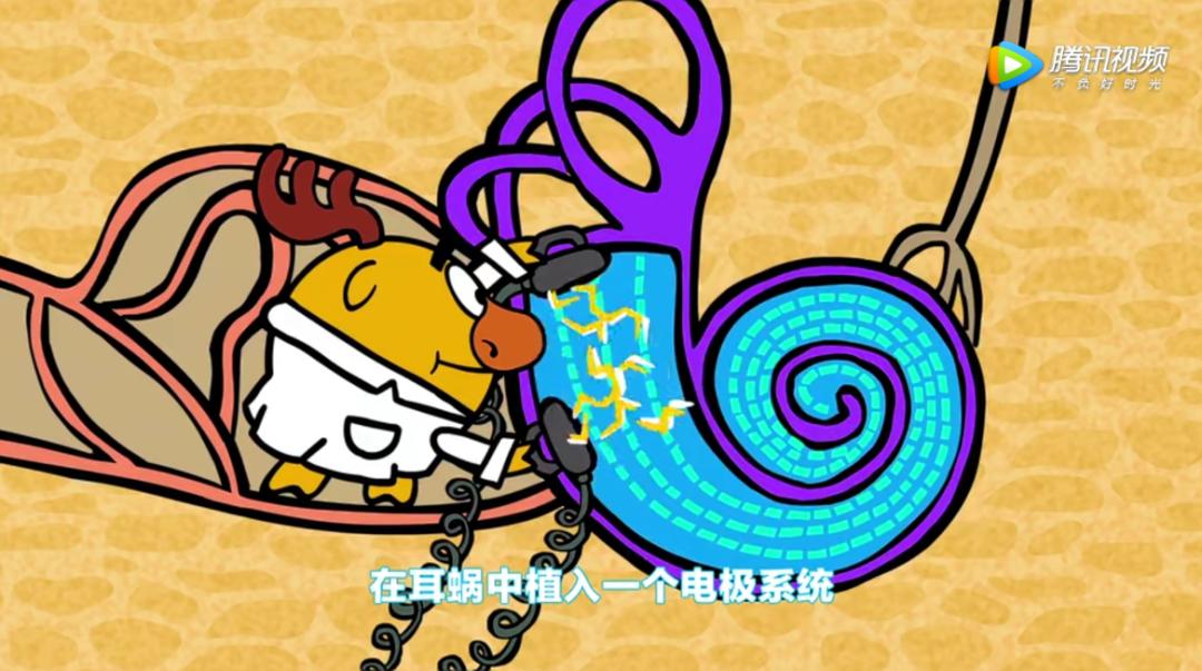 最近迷上了一部动画，一查，原来它是首部诺贝尔奖科普动画