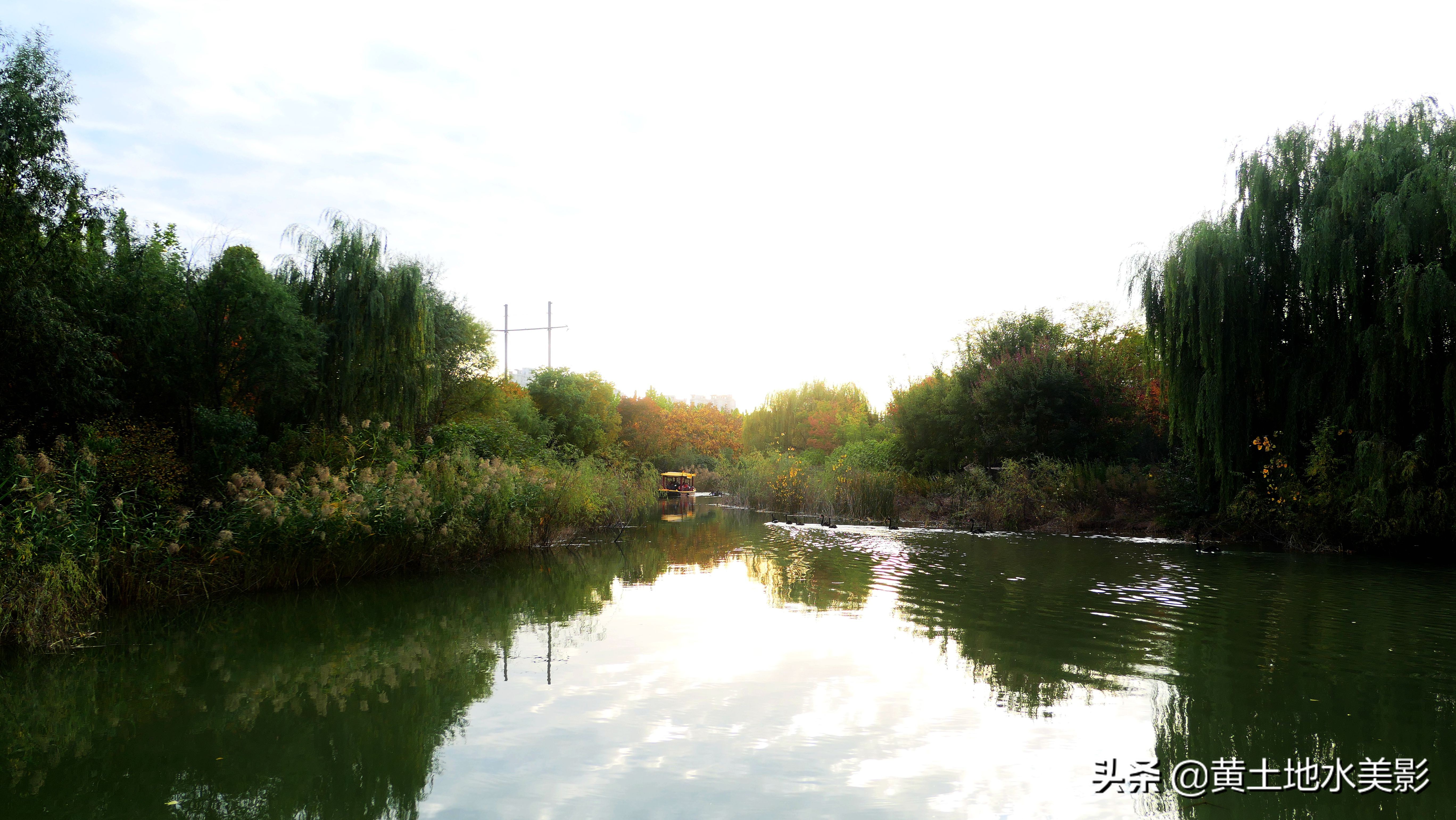 占地590亩的湿地公园,野生动物比较多的旅游景区