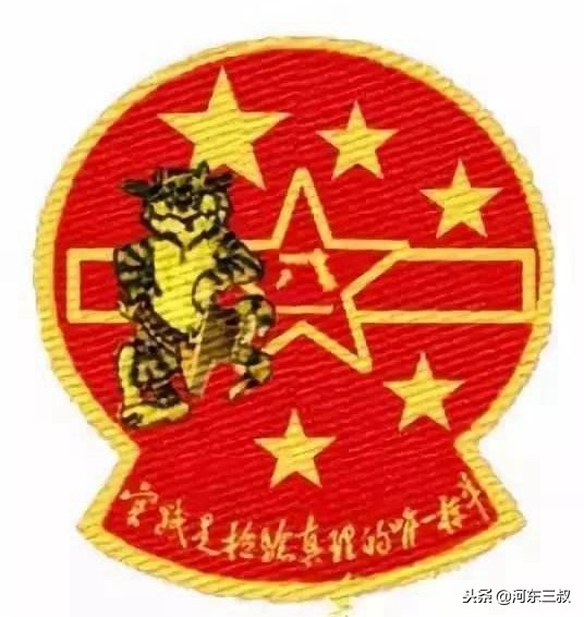 中国版f14雄猫战斗机,f-14雄猫战斗机被击落