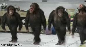 艾滋病是否通过蚊子传染,蚊子拍出血会传染艾滋病吗