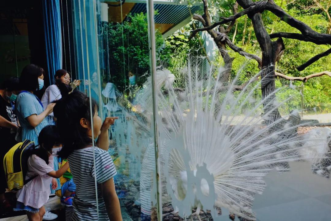 广州长隆最省钱玩法,最实惠广州长隆攻略