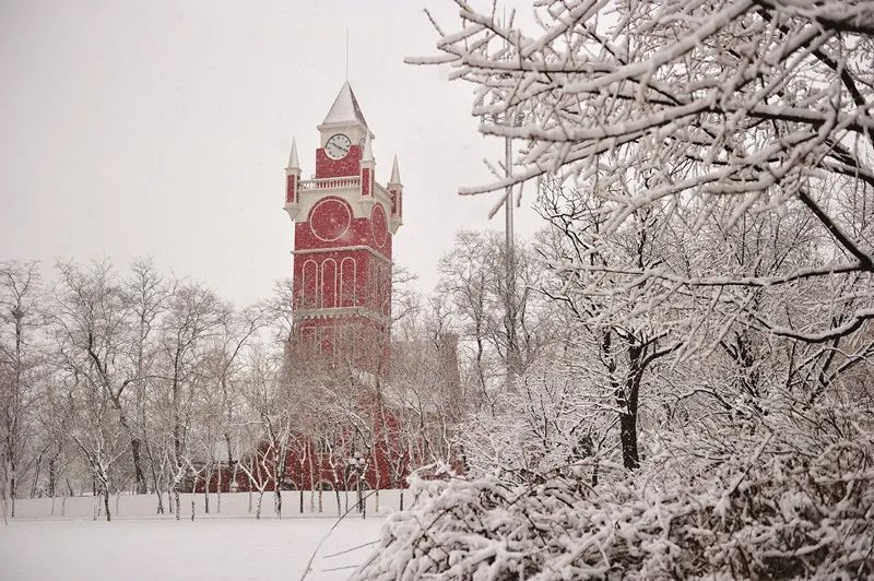 让那熟悉的旋律《绿岛》,带你我推开新学期的大门!