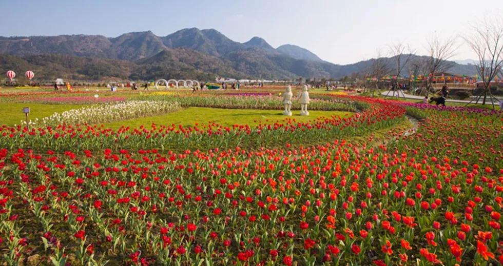 温州旅游景区排行榜前十名,温州十大免费景区排行榜最新