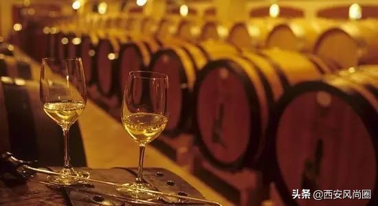 红酒基本知识大全集,红酒文化包括哪些方面的知识