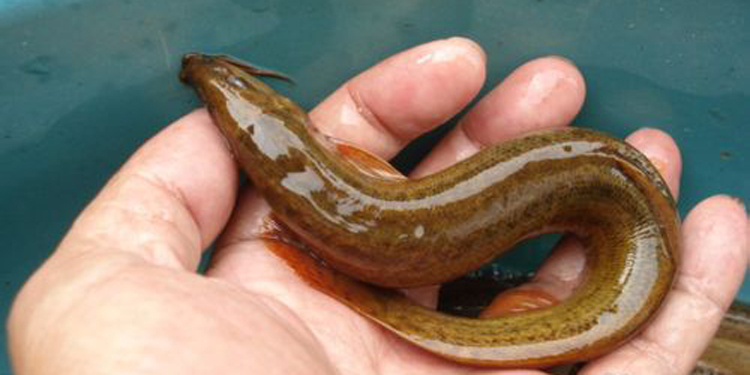 员工完不成任务该如何处罚,员工完不成业绩被公司辞退合法吗