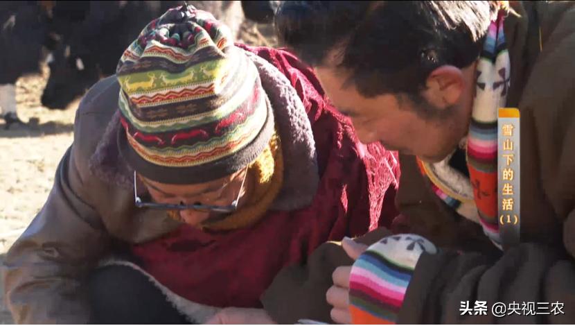 贫困户无息贷款三年还不上怎么办,贫困户能贷几次款