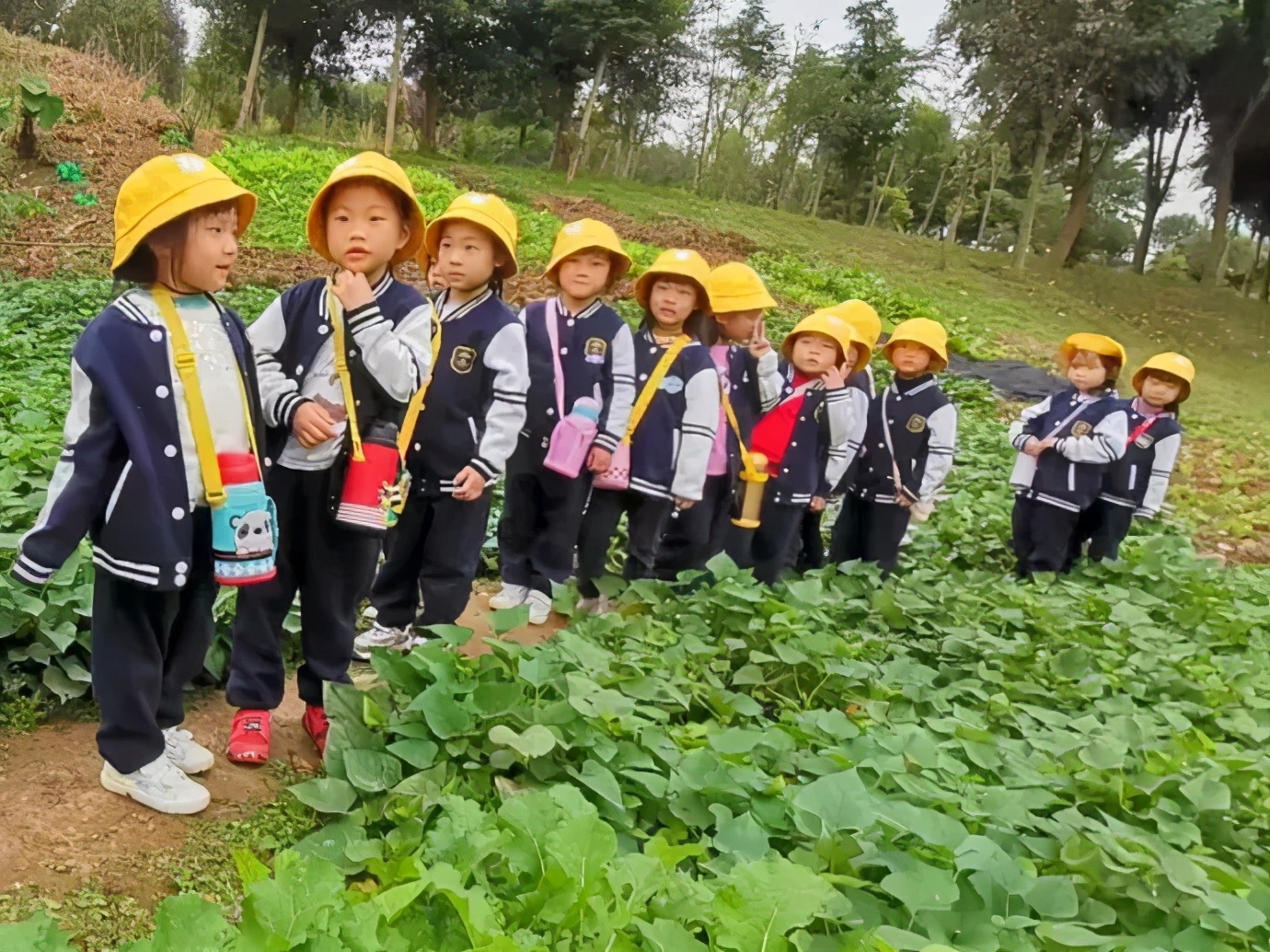 天府路小学秋季运动会,2019年成都市天府新区运动会